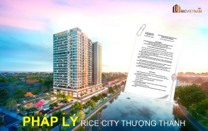 phap-ly-rice-city-thuong-thanh